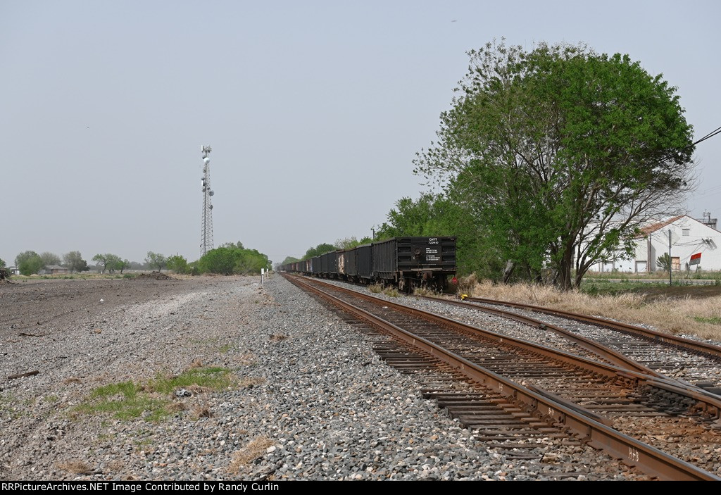 Raymondville TX